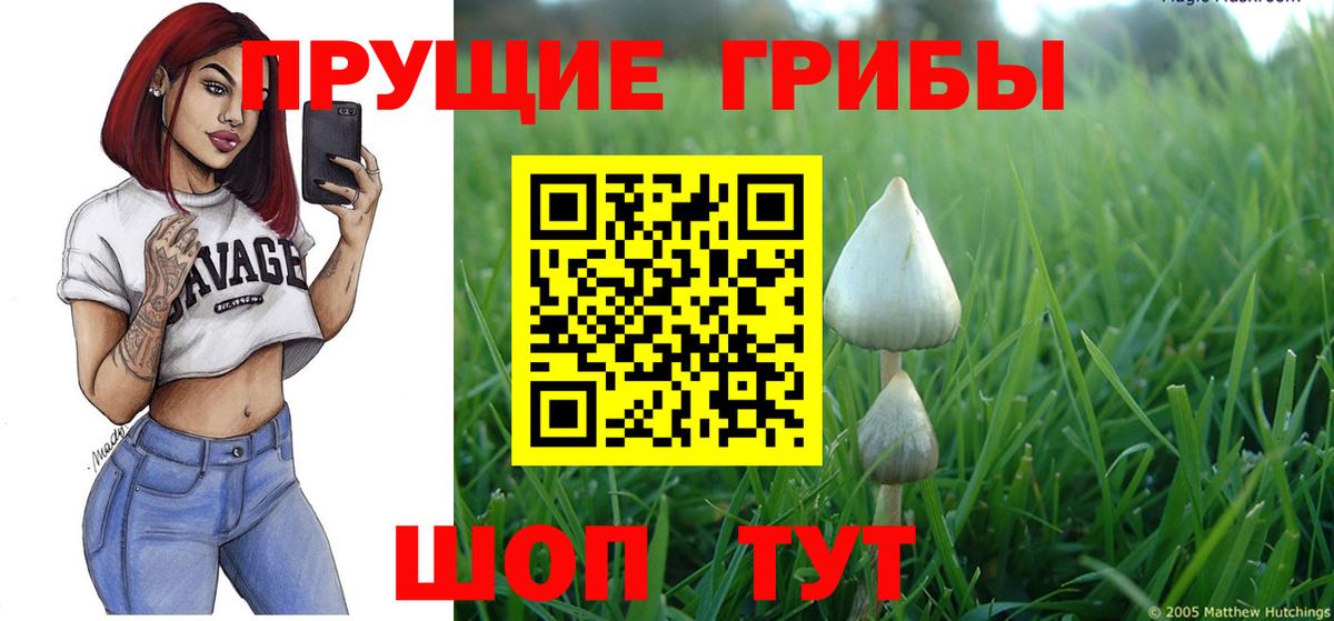Галлюциногенные грибы Cubensis Валуйки
